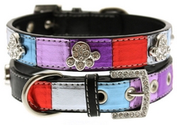 Collier en cuir multicolor métallisé S à XL
