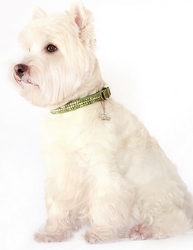 Collier vert émeraude Swarovski XS à L