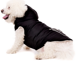 Manteau Noir