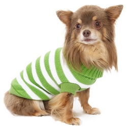 Pullover à rayures vertes et blanches