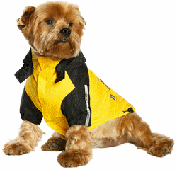 Imperméable Noir et Jaune