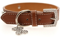 Collier en cuir marron S à XL
