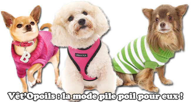 Acheter un harnais pour chien Puppia en ligne