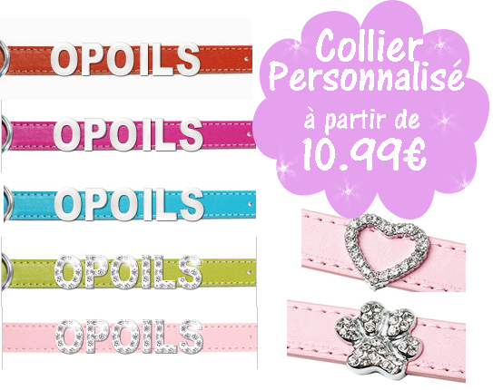 COLLIER PERSONNALISE A SON NOM POUR PETIT CHIEN