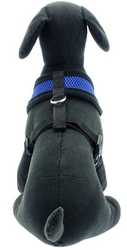 Harnais souple bleu XXS à XL