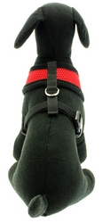 Harnais souple rouge XXS à XL