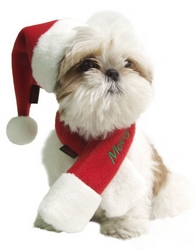 Set de Noël B